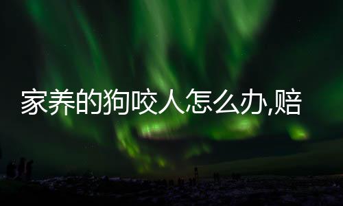 家養(yǎng)的狗咬人怎么辦,賠償多少(別人家養(yǎng)的狗咬人怎么辦)