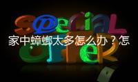 家中蟑螂太多怎么辦？怎么消滅家中的蟑螂？