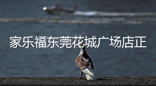 家樂福東莞花城廣場店正式結(jié)業(yè)，東莞僅剩一家門店