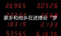 家鄉和他鄉在進博會“夢幻聯動”