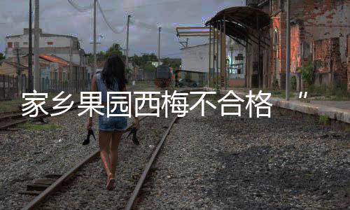 家鄉果園西梅不合格 “貴夫人”被罰8.5萬元