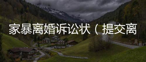 家暴離婚訴訟狀（提交離婚訴訟書遭丈夫暴打）