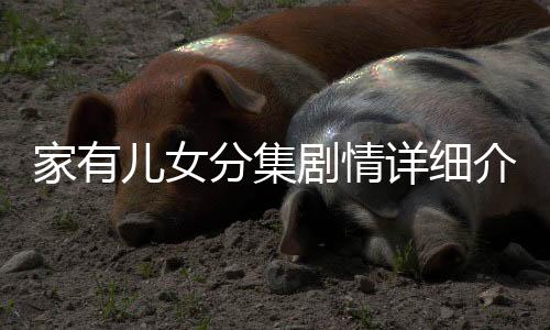 家有兒女分集劇情詳細介紹61