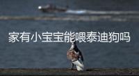 家有小寶寶能喂泰迪狗嗎好嗎(家里有嬰兒可以養泰迪嗎)