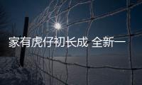 家有虎仔初長成 全新一代起亞K2怎么樣