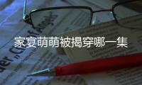 家宴萌萌被揭穿哪一集