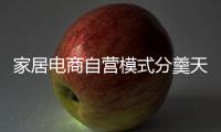 家居電商自營模式分羹天貓