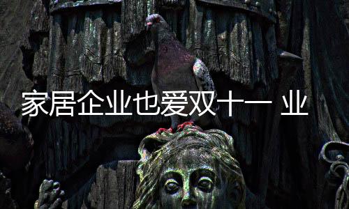 家居企業也愛雙十一 業內出現營銷熱潮