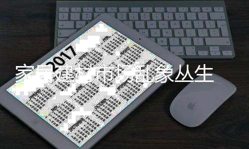 家居建材市場亂象叢生 定制家具受青睞但問題也多