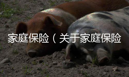 家庭保險（關于家庭保險的基本情況說明介紹）
