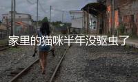 家里的貓咪半年沒驅蟲了要不要緊