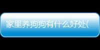 家里養狗狗有什么好處(家里養狗狗用什么消毒)
