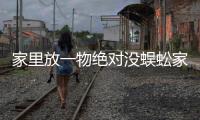 家里放一物絕對沒蜈蚣家里可以放生石灰嗎