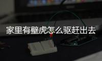 家里有壁虎怎么驅趕出去？驅趕壁虎的方法