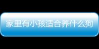 家里有小孩適合養(yǎng)什么狗(家里有小孩狗狗需要打哪些疫苗)