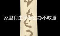 家里有蟲子怎么辦不敢睡，家里有蟲子怎么辦