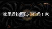家里蜈蚣可以打死嗎（家里有蜈蚣要不要打死）