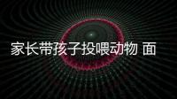 家長帶孩子投喂動物 面對勸阻一意孤行