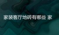 家裝客廳地磚有哪些 家裝客廳地磚怎么選購