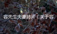 容先生夫妻肺片（關(guān)于容先生夫妻肺片的基本情況說明介紹）