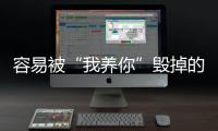 容易被“我養你”毀掉的星座女