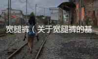 寬腿褲（關(guān)于寬腿褲的基本情況說明介紹）