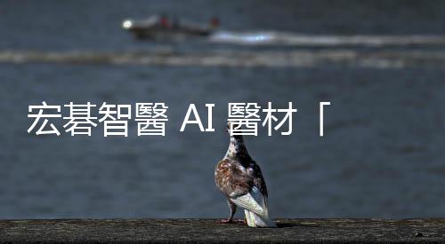 宏碁智醫(yī) AI 醫(yī)材「智骨篩」通過許可，瞄準臺灣、美國等重點市場