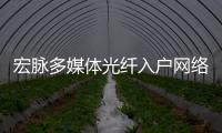 宏脈多媒體光纖入戶網絡蓋板信息箱家用暗裝墻式