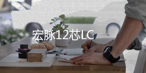 宏脈12芯LC