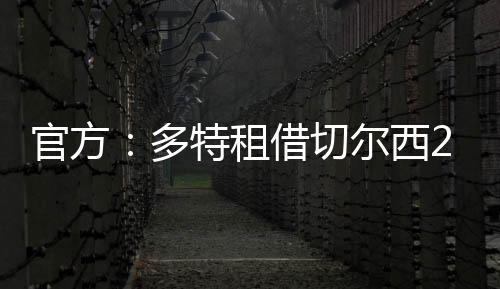 官方：多特租借切爾西21歲中場楚克烏梅卡半賽季，合同含買斷條款