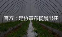 官方：足協(xié)宣布楊晨出任男足U16國(guó)家隊(duì)主教練