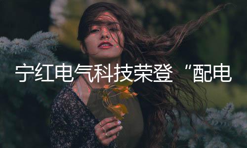 寧紅電氣科技榮登“配電箱十大品牌”榜單，彰顯行業領先地位