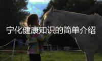 寧化健康知識(shí)的簡(jiǎn)單介紹