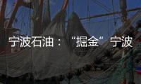 寧波石油：“掘金”寧波國際汽車博覽會