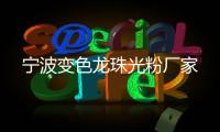 寧波變色龍珠光粉廠家