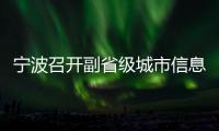 寧波召開副省級城市信息化工作會議