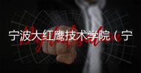 寧波大紅鷹技術學院（寧波大紅鷹學院怎么樣）