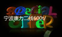 寧波康力二線600t/d生產(chǎn)線置換至本溪福耀,產(chǎn)業(yè)數(shù)據(jù)