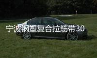 寧波鋼塑復合拉筋帶30020C廠家電話