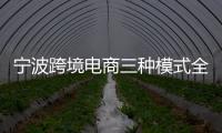 寧波跨境電商三種模式全覆蓋 單月訂單量連破百萬