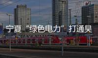 寧夏“綠色電力”打通昊苑村發展“經脈”