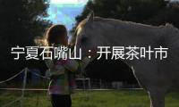 寧夏石嘴山：開展茶葉市場專項檢查行動