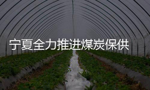 寧夏全力推進煤炭保供 產(chǎn)量創(chuàng)歷史新高