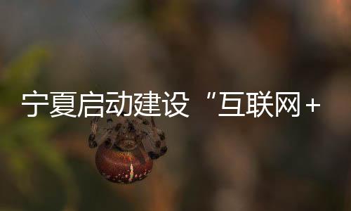 寧夏啟動建設(shè)“互聯(lián)網(wǎng)+醫(yī)療健康”國家區(qū)域醫(yī)療中心