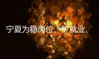 寧夏為穩崗位、擴就業、提技能、防失業“出新招”“出實招”
