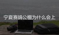 寧夏賽鴿公棚為什么會上熱搜?