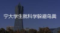 寧大學生就科學躲避鳥糞寫了篇論文：55.4秒通過免受攻擊