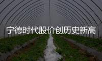 寧德時代股價創歷史新高 僅次于茅臺