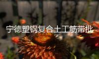寧德塑鋼復合土工筋帶批發價格