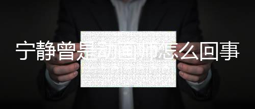 寧靜曾是動畫師怎么回事？寧靜學歷曝光什么學校畢業的？
